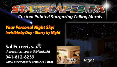 Starscapes ceiling murals glow in the dark
